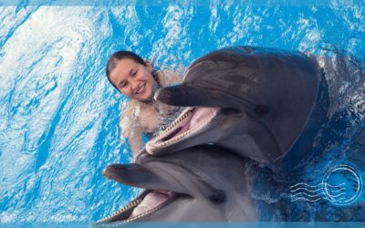 Your Guide to the Best Place to Swim with Dolphins in Cancun