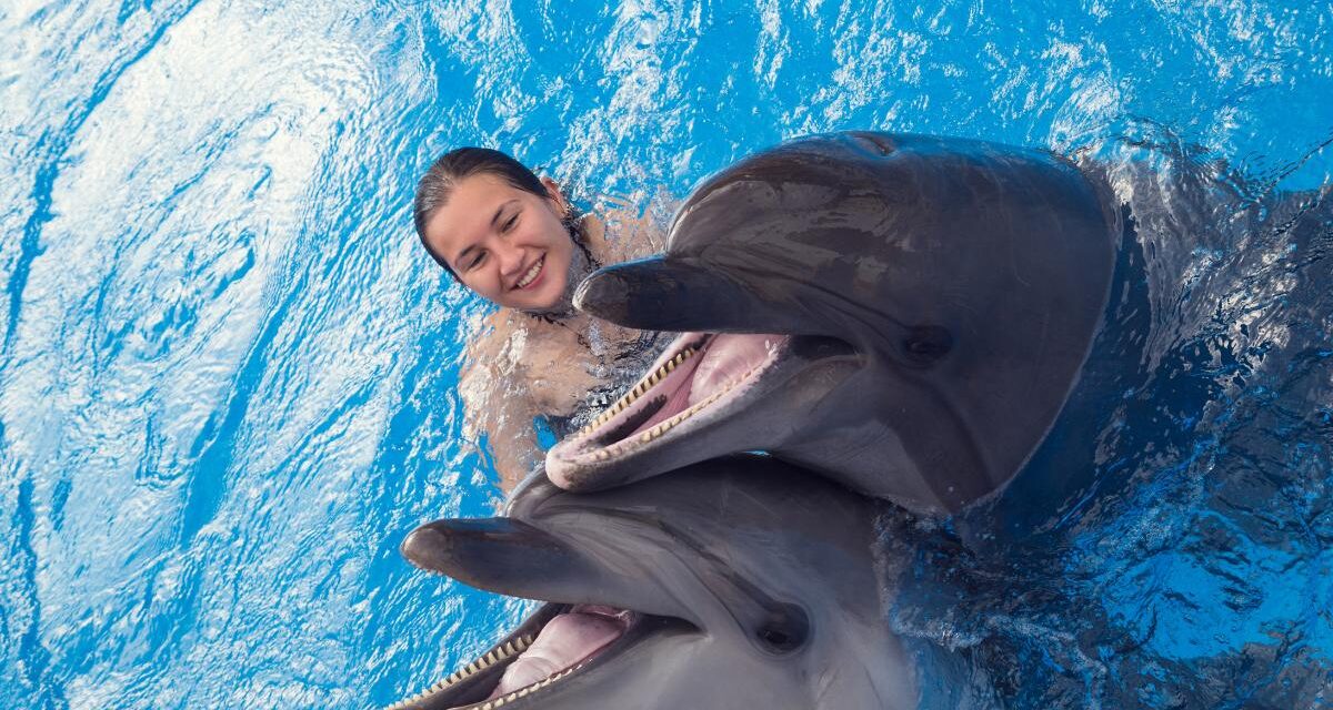 Your Guide to the Best Place to Swim with Dolphins in Cancun