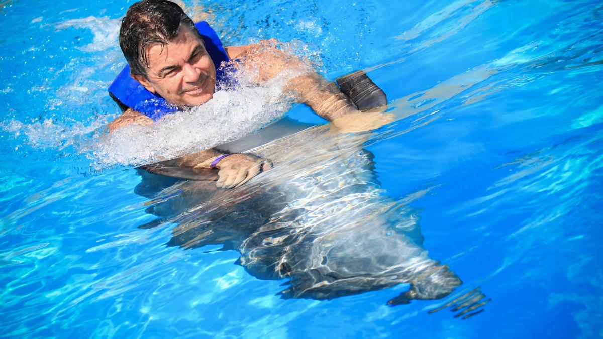 Best place to swim with dolphins in Cancun including belly ride and foot push.