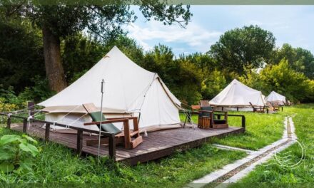 Guide to the Best Places and Sites for Glamping Near Essex