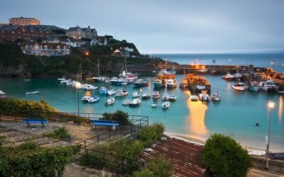Newquay Cornwall Dolphin Boat Trips and Sea Wildlife Safaris