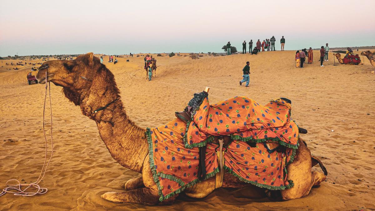 Exciting and unusual things to do in Jaisalmer, Rajasthan - Overnight camel safari