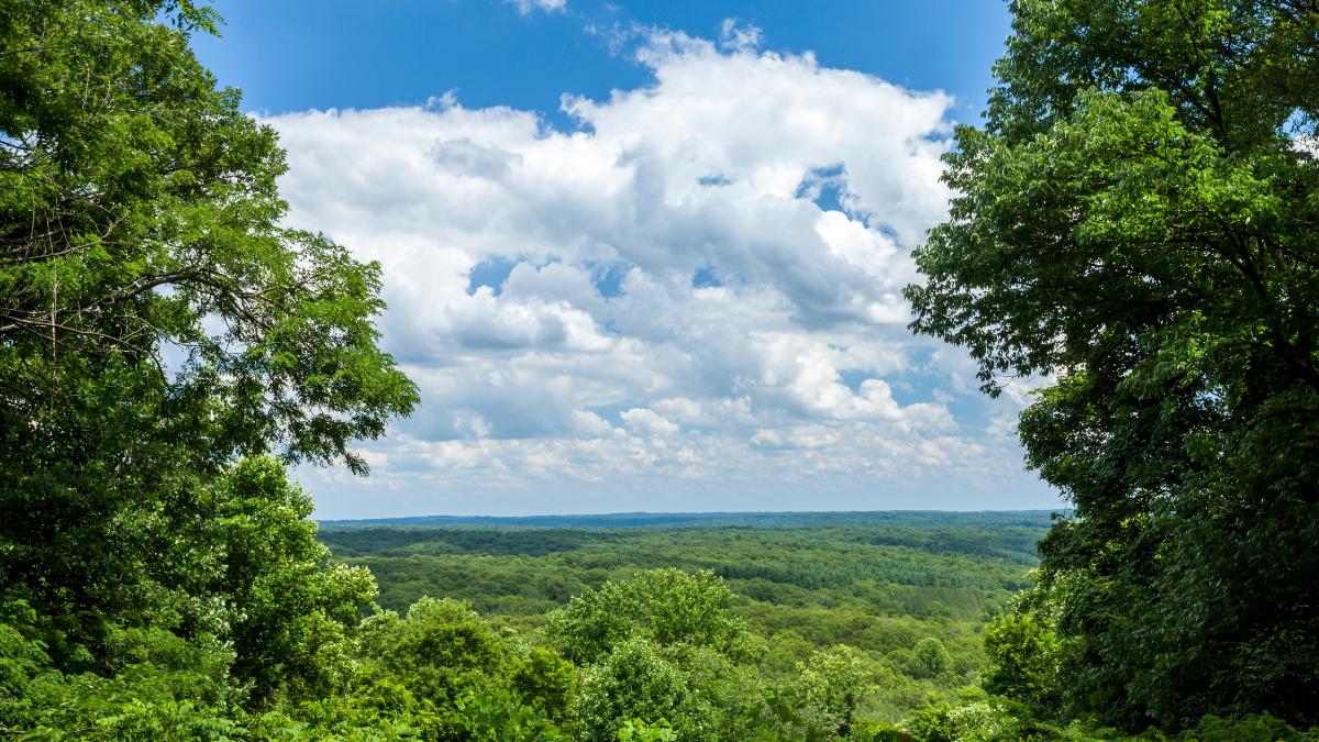 Tree top view of Brown County State Park