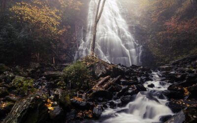 20 Stunningly Beautiful Asheville Hikes with Waterfalls