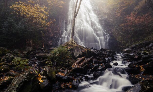 20 Stunningly Beautiful Asheville Hikes with Waterfalls