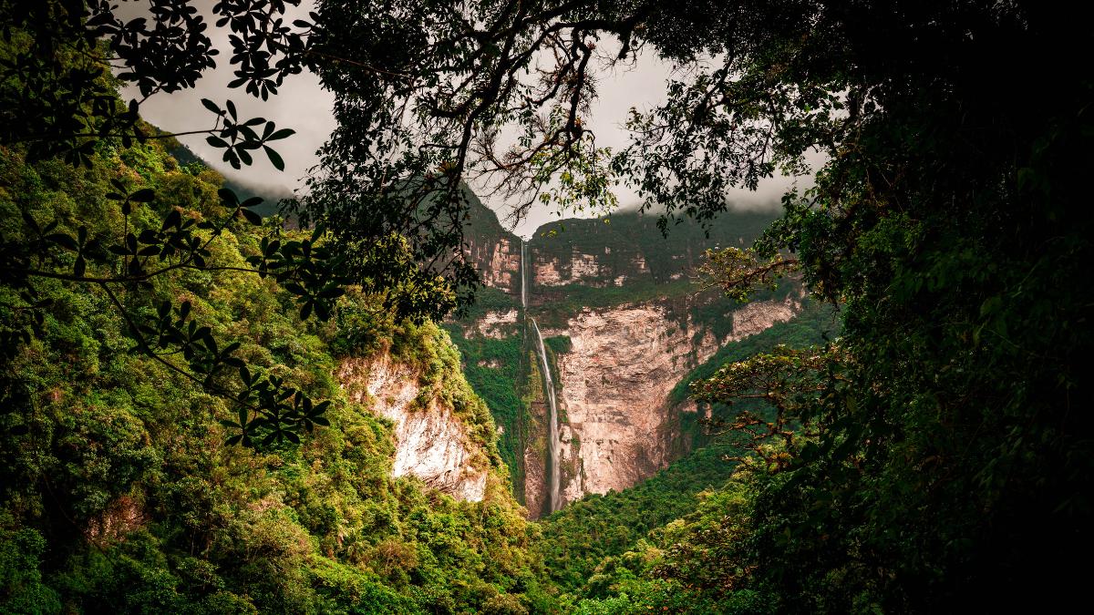 Amazon rainforest in Peru