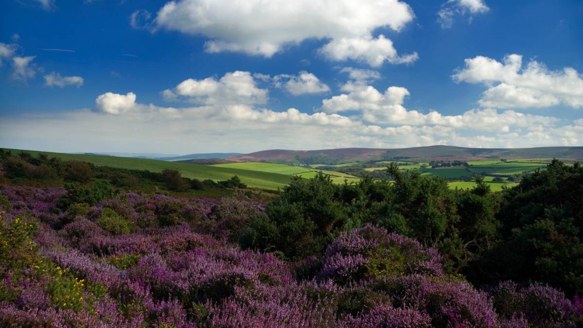 Exmoor National Park is one of the best places to visit in North Devon.