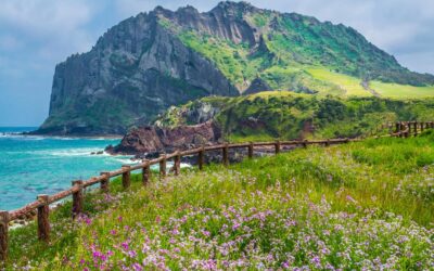 Things to do for Experiencing the Best of Jeju Island