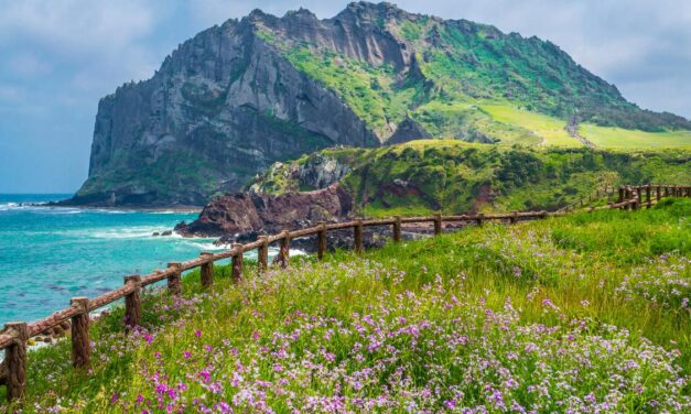 Things to do for Experiencing the Best of Jeju Island