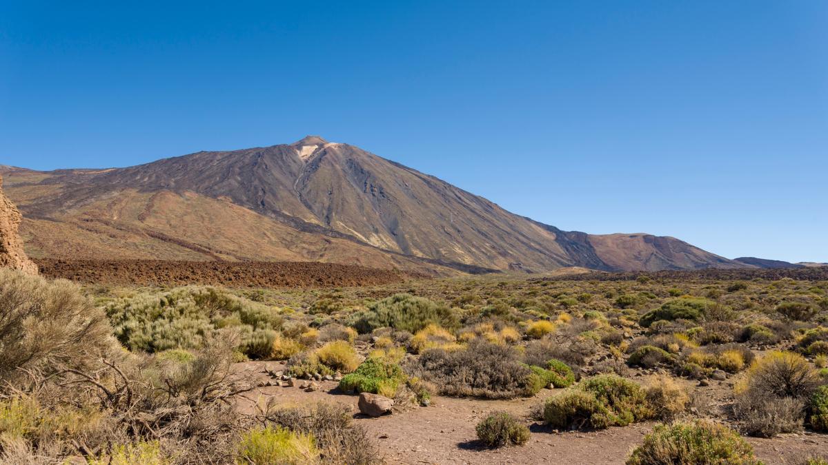 Romantic Private Teide National Park Tour in Tenerife